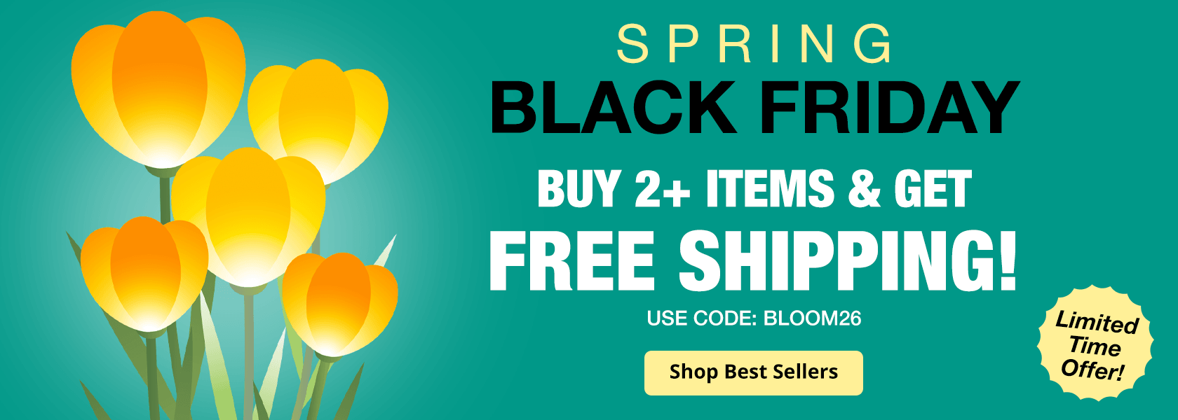 Spring Black Friday