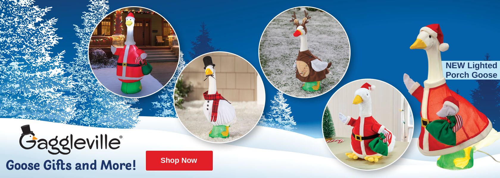 Shop Gaggleville