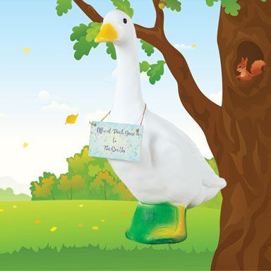 visual banner accessories image