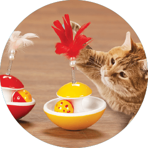 Pet Gifts