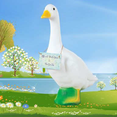 visual banner accessories image