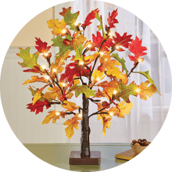 Shop Seasonal