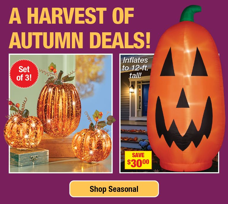 Shop Seasonal