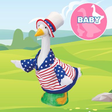 visual banner baby image