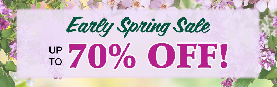 Early Spring Sale