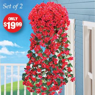 Outdoor Decor