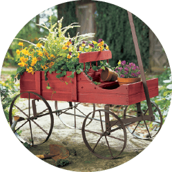 Shop Outdoor & Garden