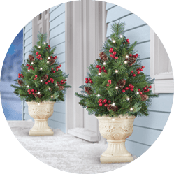 Outdoor & Garden Best Sellers