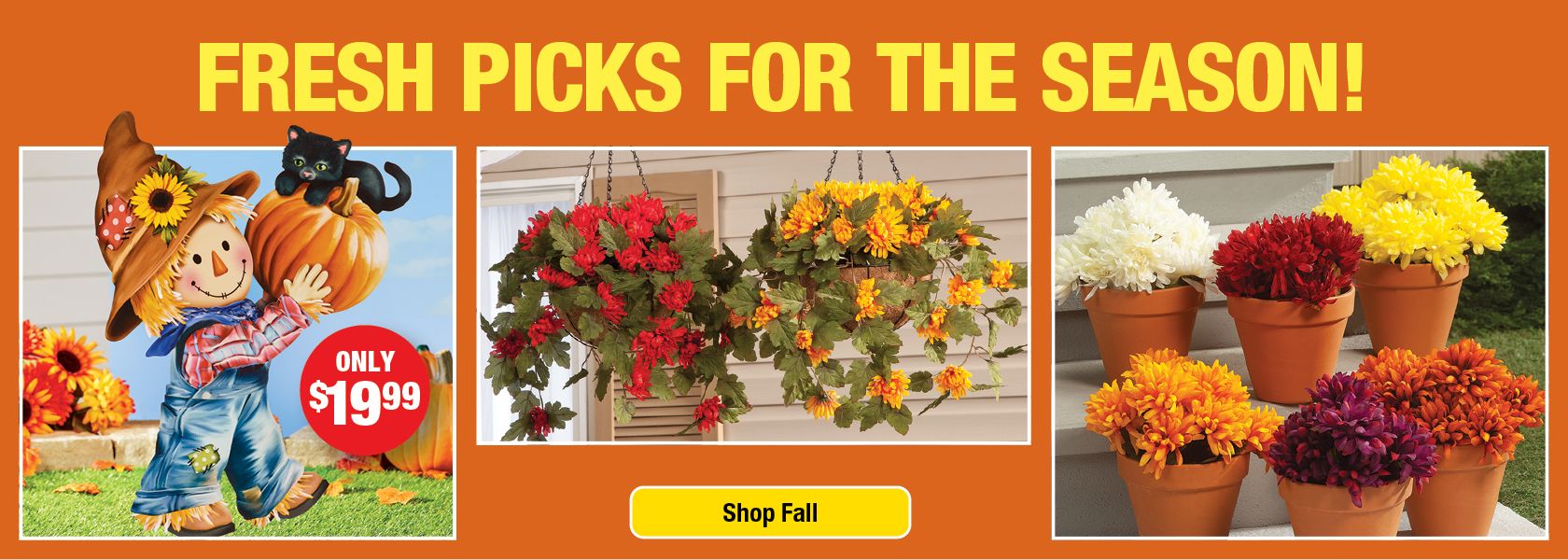 Shop Fall