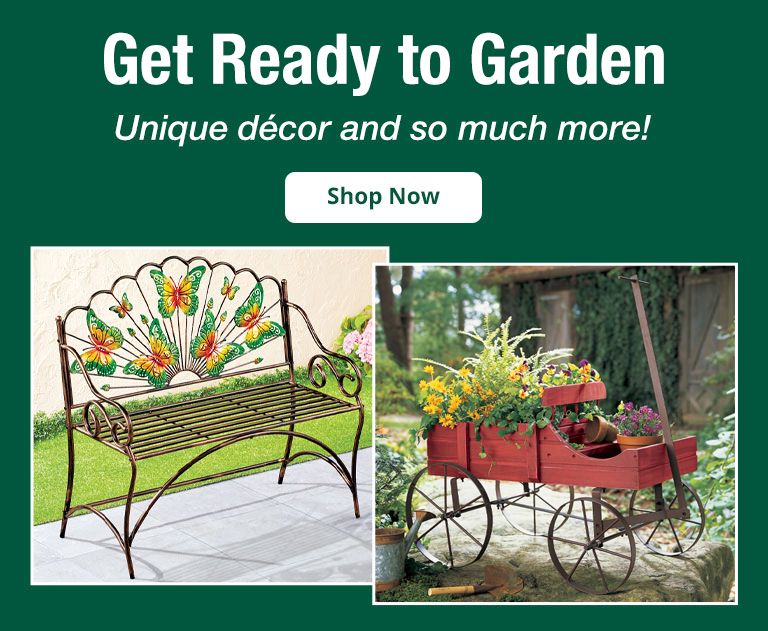 Outdoor & Garden