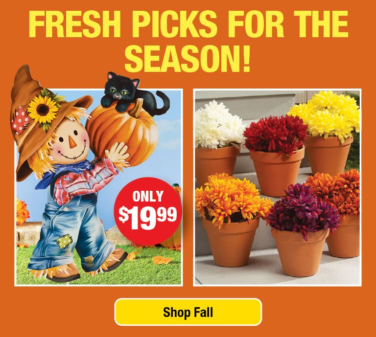 Shop Fall