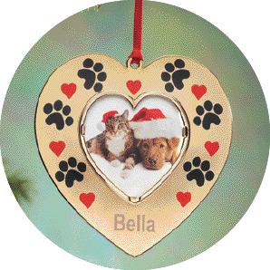 Pet Gifts