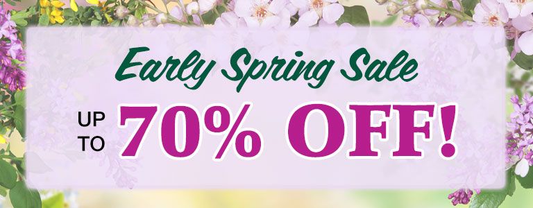 Early Spring Sale