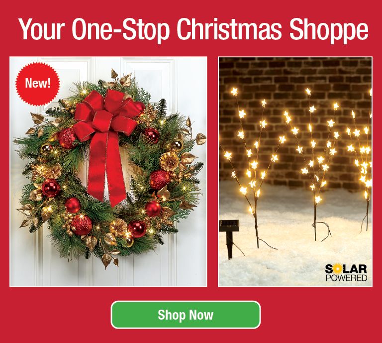 Shop Christmas
