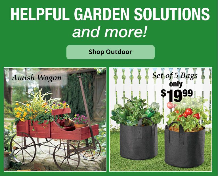 Outdoor & Garden