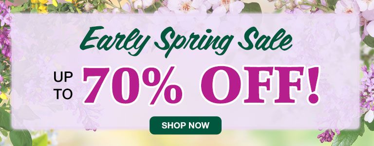 Early Spring Sale