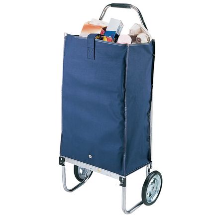 Deluxe Foldaway Carryall-303208