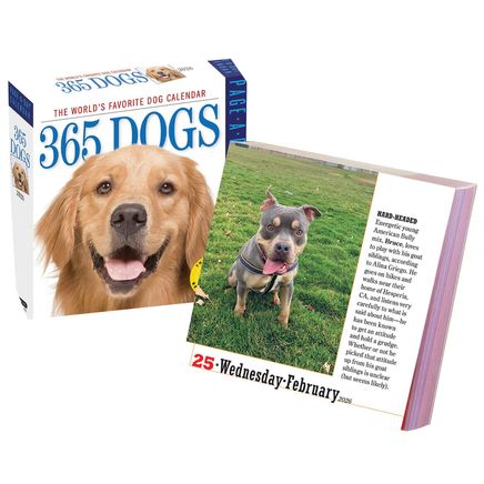 Dog Or Cat Page A Day Calendar-310671