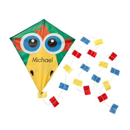 Personalized Bird Kite-358823