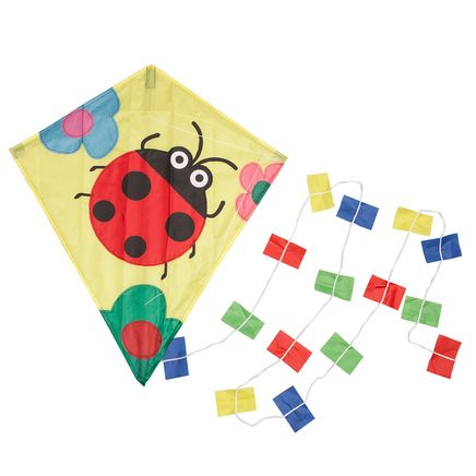 Ladybug Kite-365721