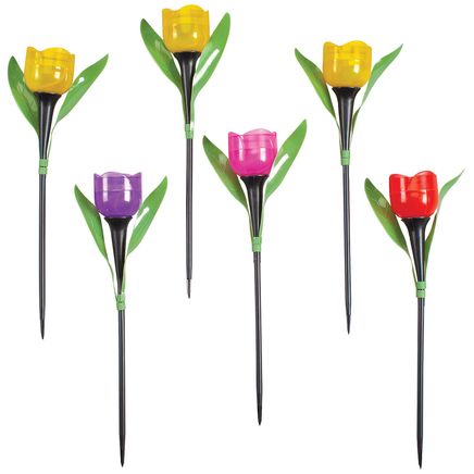 Solar Tulip Stakes, Set of 6-372642