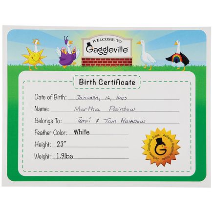 Gaggleville® Large Goose Birth Certificate-377081