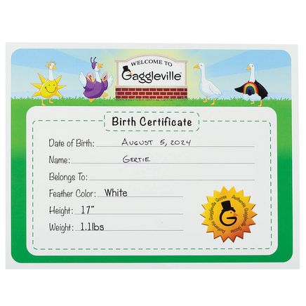 Gaggleville® Baby Goose Birth Certificate-378170
