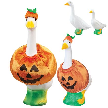 Pumpkin Duo Goose, Baby and Outfits Bundle by Gaggleville®-378174