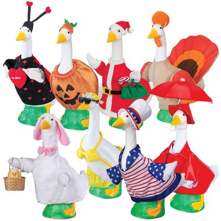 All-Seasons Baby Goose Outfit Bundle by Gaggleville®-378547