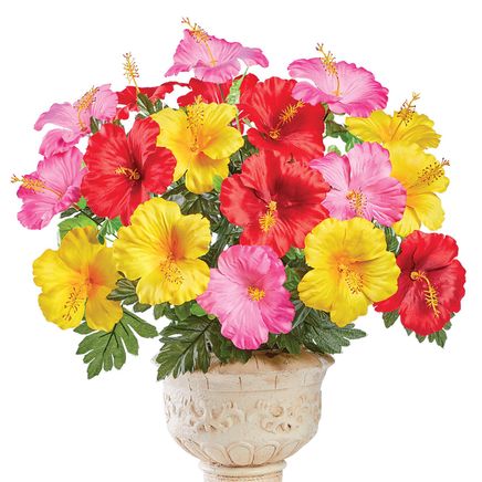 Hibiscus Bushes, Set of 3-379575