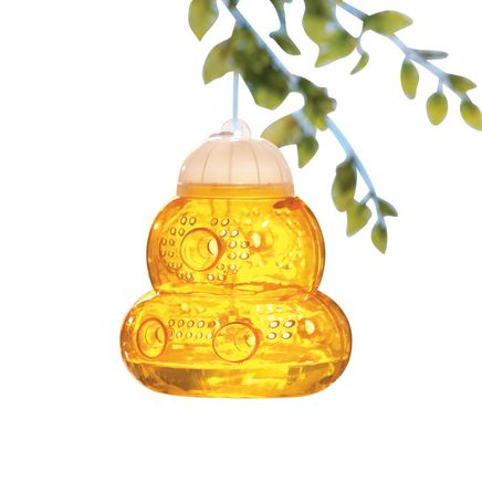 Wasp Trap-379670