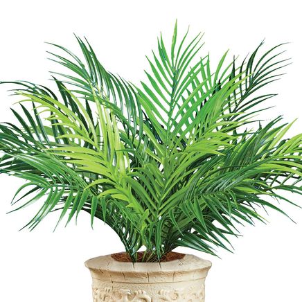 Palm Bushes, Set of 2-379715