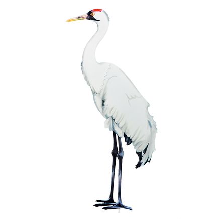 Whooping Crane Stake-379727