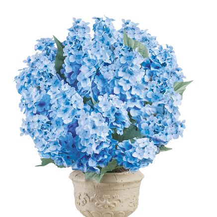 Cone Hydrangea Bushes, Set of 3-379753