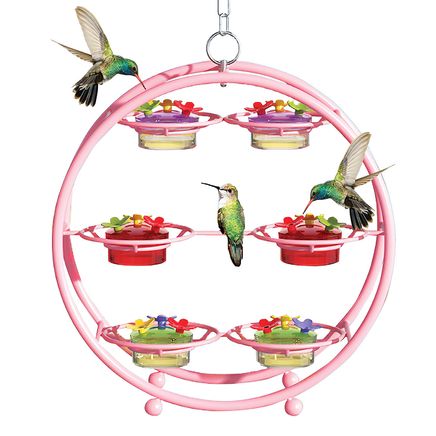 6-Bowl Hummingbird Feeder-379949