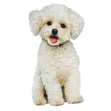 Bichon Frise Stake-379972