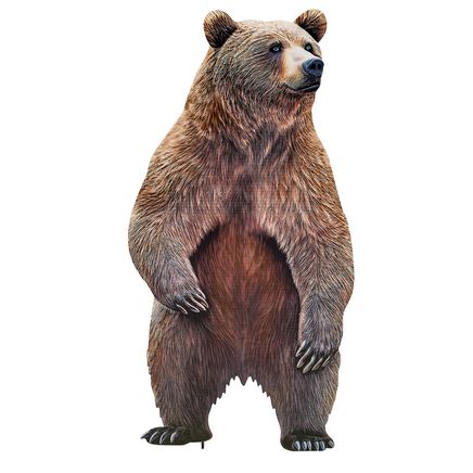 Realistic Bear Stake-380080