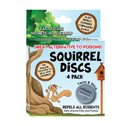 Squirrel Discs, Set of 4-380109