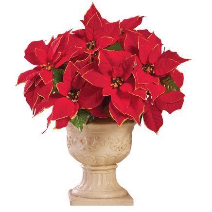 Glitter Poinsettia Bushes, Set of 3-380352