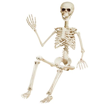 3-Ft. Posable Skeleton-380432