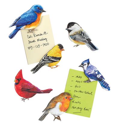 Bird Magnets, Set of 6-380634