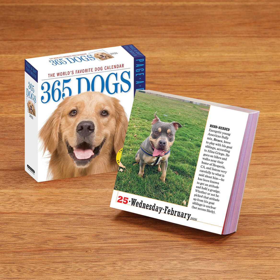 Dog Or Cat Page A Day Calendar + '-' + 310671