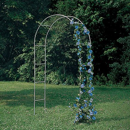 White Arched Garden Trellis-318049