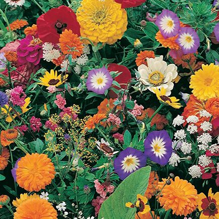 Garden Fragrance Cut Flower Roll-Out Seed Mat-348133