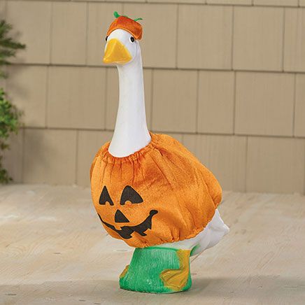 Pumpkin Large Goose Outfit by Gaggleville®-349058