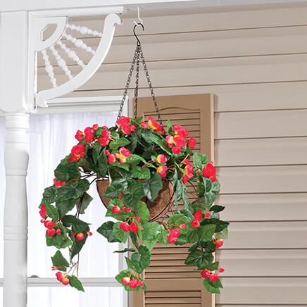 Fully Assembled Begonia Hanging Basket by OakRidge™-355016