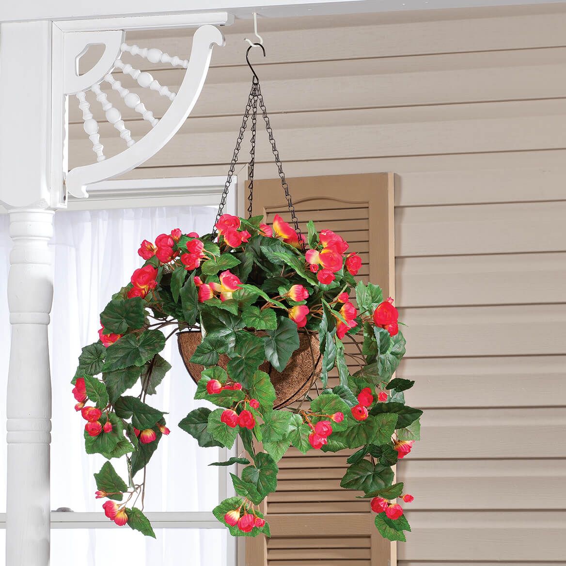 Fully Assembled Begonia Hanging Basket by OakRidge™ + '-' + 355016