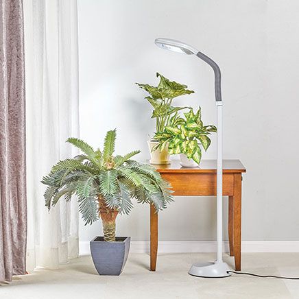 Daylight Floor Lamp-358637