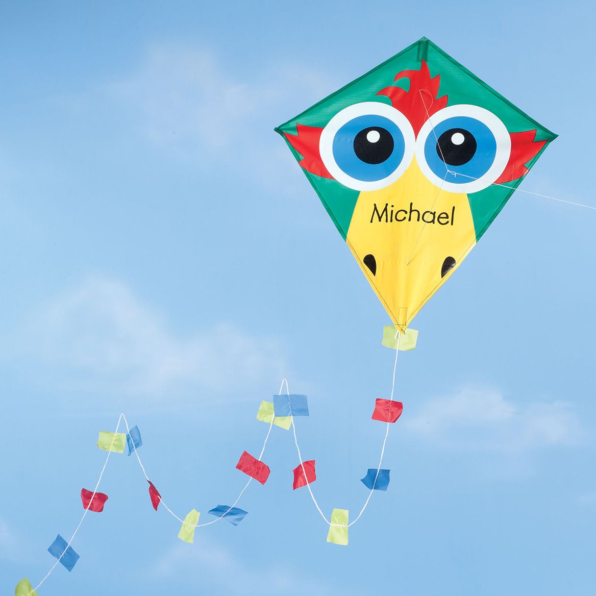 Personalized Bird Kite + '-' + 358823