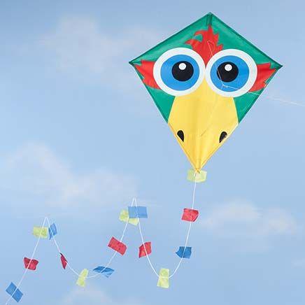 Bird Kite-358826